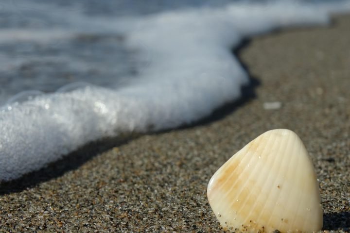 World Cleanup Day