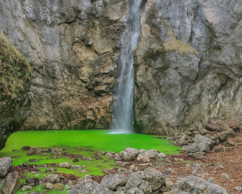 Зеленая вода в Баварии