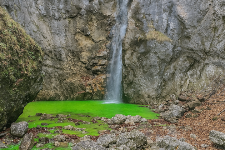Зеленая вода в Баварии